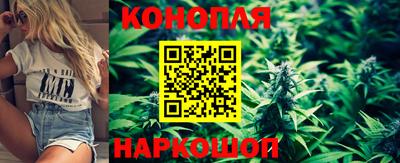 гидропоника Обнинск