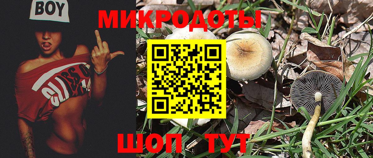 Галлюциногенные грибы Cubensis Ртищево