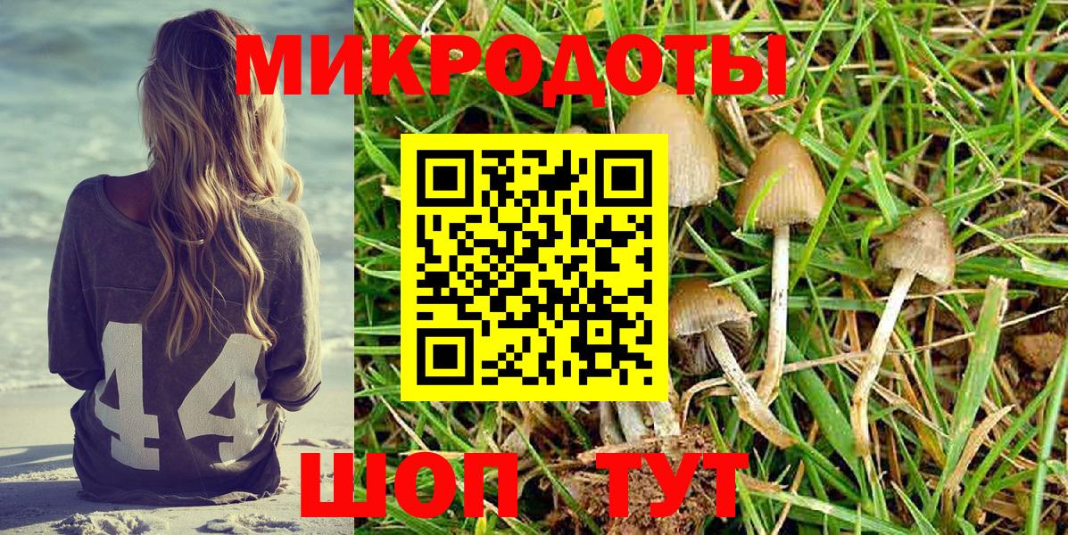 Галлюциногенные грибы Psilocybe  Псилоцибиновые грибы Magic Shrooms  Ртищево  Вход с VPN 